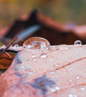 Quos aut est assumen